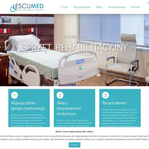 Rybnik - wózek inwalidzki