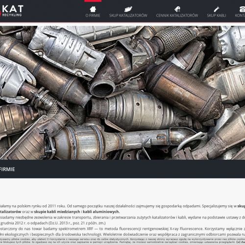 Skup filtrów dpf Pabianice