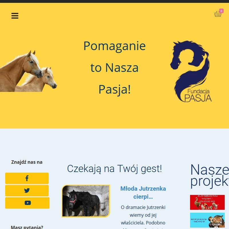 Fundacje zwierząt