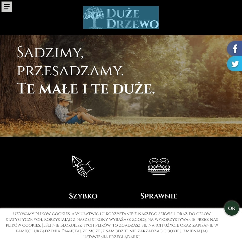 Szkółka drzew dużych mazowieckie w Warszawie