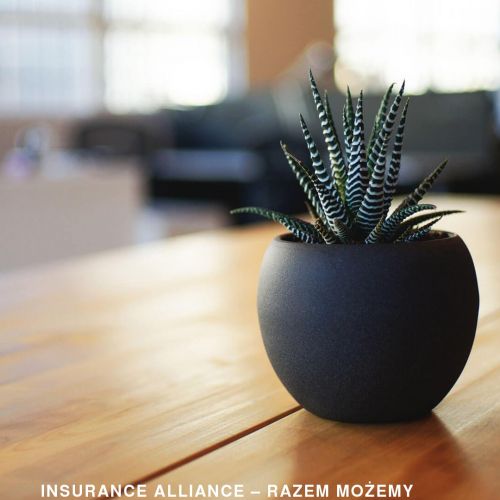 Gdańsk - multiagencja ubezpieczeniowa praca