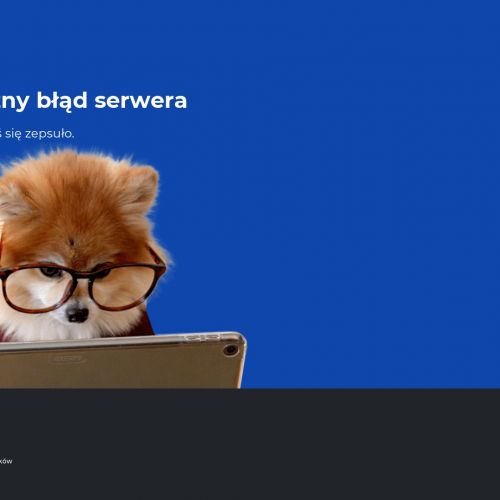 Kurs na ładowarki teleskopowe w Oławie