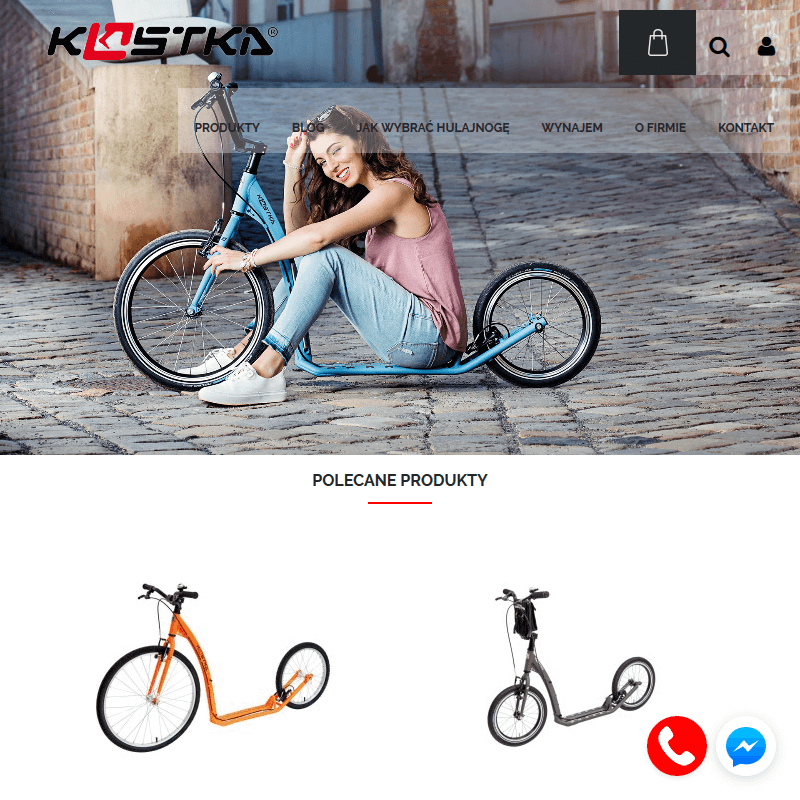 Katowice - hulajnoga z psem