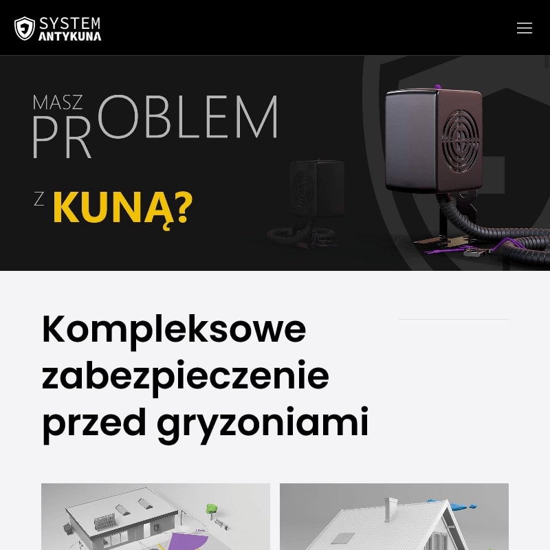 Jak pozbyć się kuny